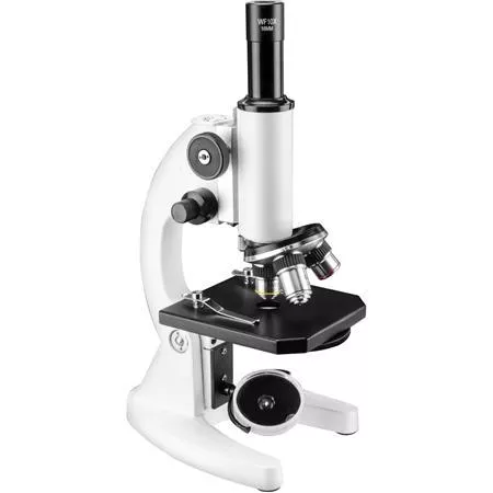 microscope view