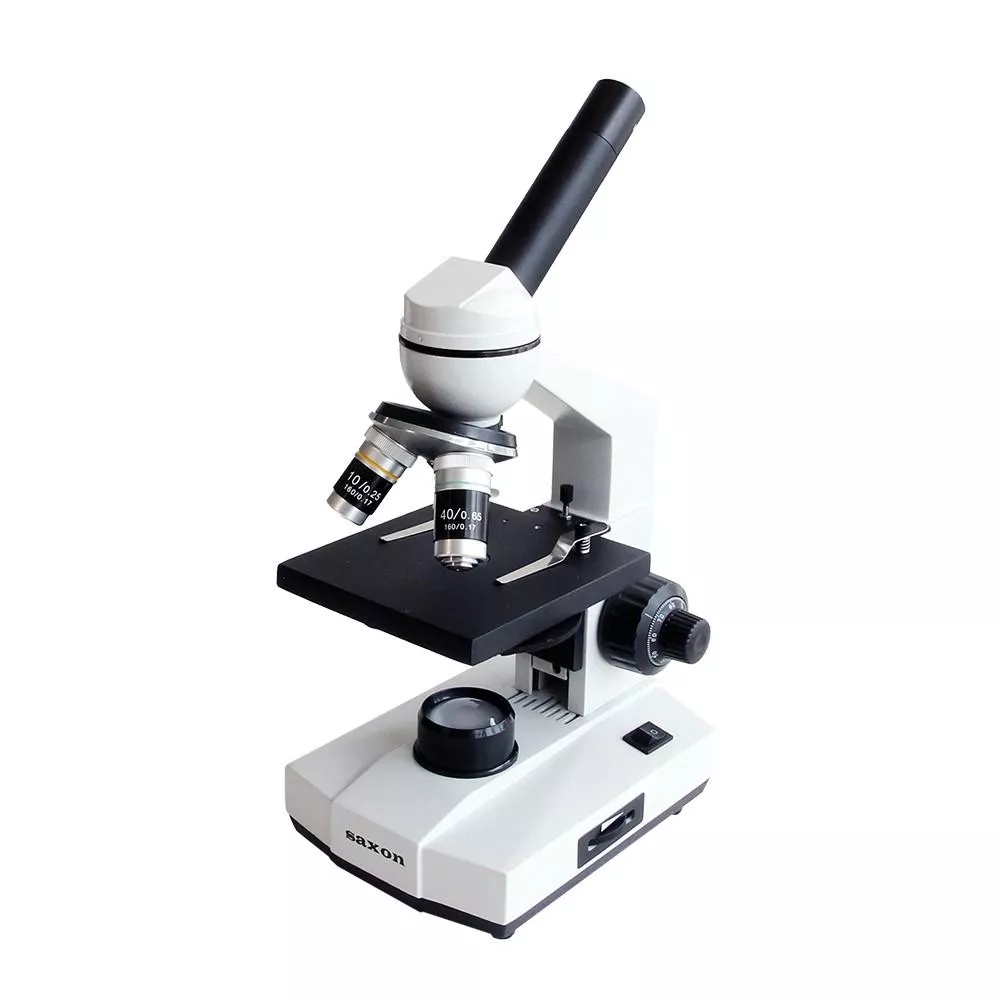 microscope view